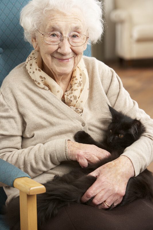 A woman sitting in a chair holding onto a black cat.