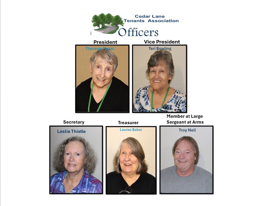 Five women are posing for a picture.